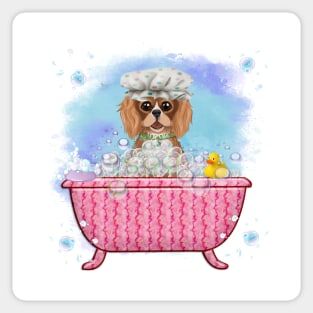 Ruby Cavalier King Charles Spaniel in a Bath Tub Sticker